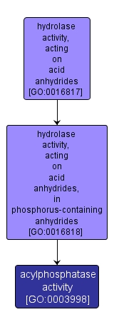 GO:0003998 - acylphosphatase activity (interactive image map)