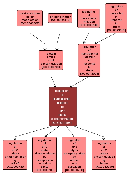 GO:0010998 - regulation of translational initiation by eIF2 alpha phosphorylation (interactive image map)