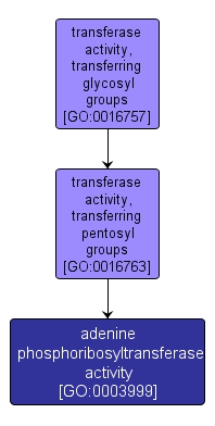 GO:0003999 - adenine phosphoribosyltransferase activity (interactive image map)