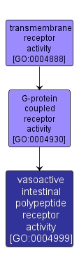 GO:0004999 - vasoactive intestinal polypeptide receptor activity (interactive image map)