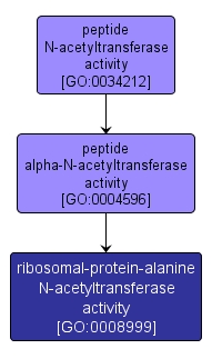 GO:0008999 - ribosomal-protein-alanine N-acetyltransferase activity (interactive image map)