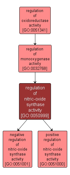 GO:0050999 - regulation of nitric-oxide synthase activity (interactive image map)